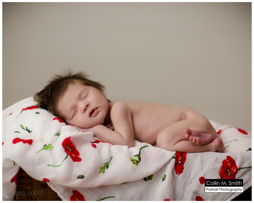 © Collin M. Smith Portrait Photography www.cmsmithportraits.com/blog